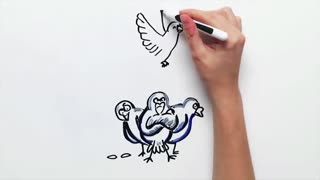 НаучПок Вся правда о голубях — Научпок.mp4